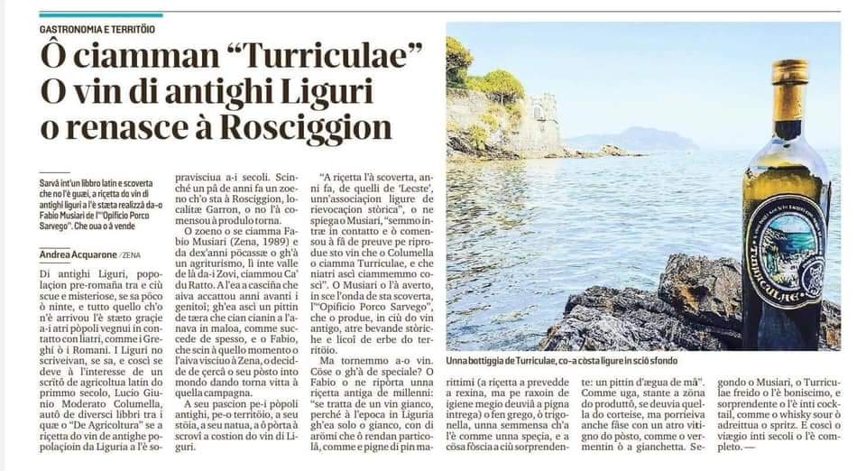 Turriculae Antico Vino Ligure - immagine 3