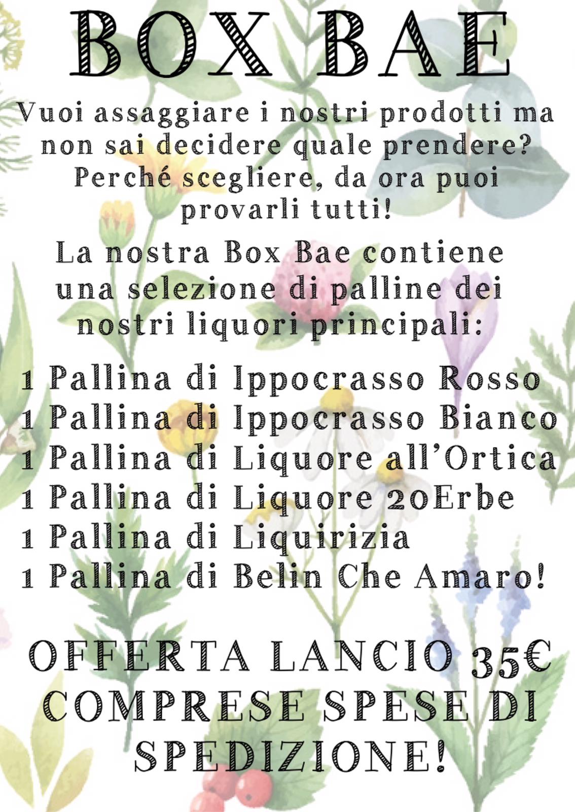 BOX PALLINE ALCOLICHE s.s. incluse - immagine 7
